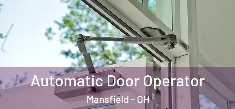 Automatic Door Operator Mansfield - OH