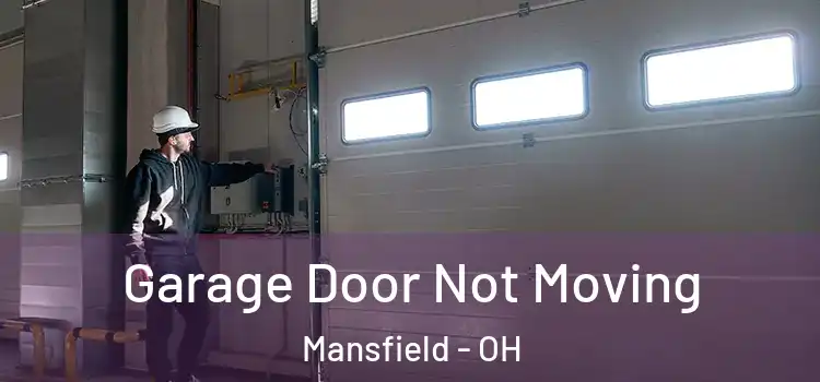  Garage Door Not Moving Mansfield - OH