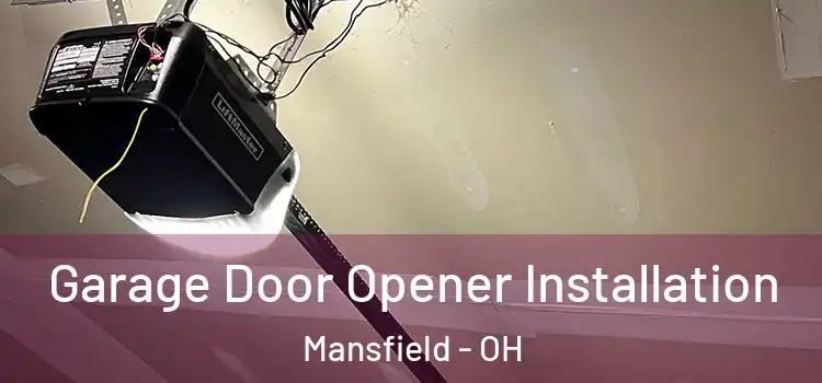  Garage Door Opener Installation Mansfield - OH