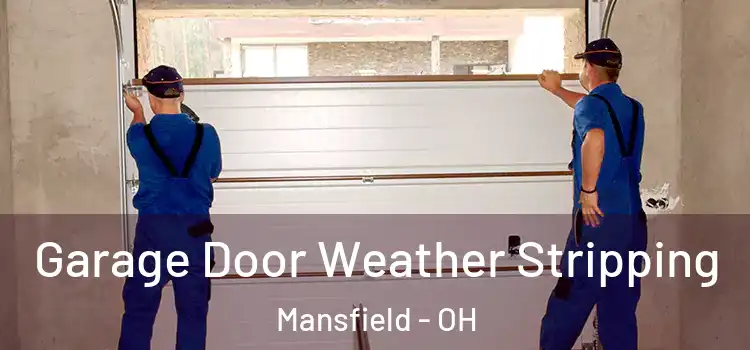  Garage Door Weather Stripping Mansfield - OH